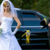 Wedding Limo Horrors